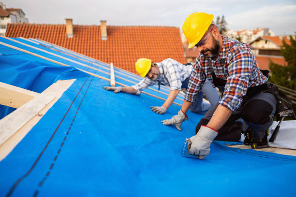 Best Roof Gutter Cleaning  in Brockport, NY